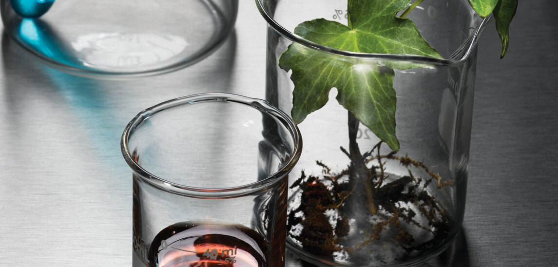 Mixing Nutrients A Beginner’s Guide Botanicare