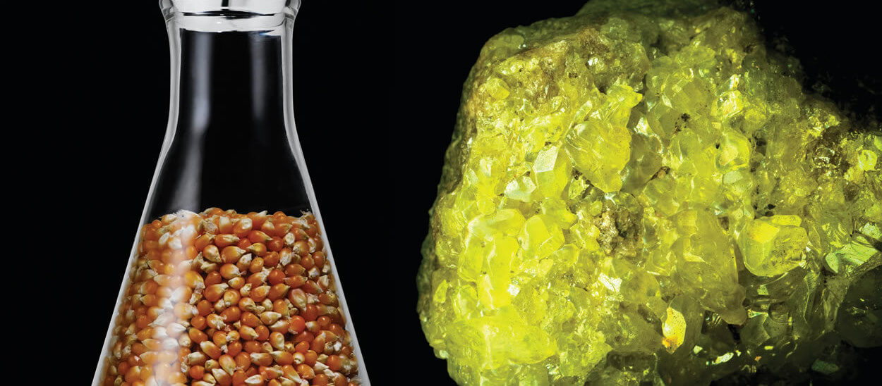 Organics and Minerals Do you Really Understand What’s Going into your